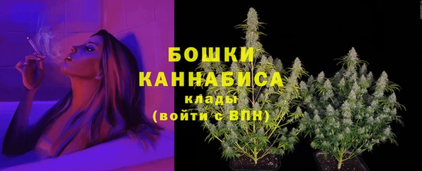 мдпв Видное