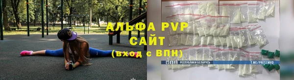 СК Абинск