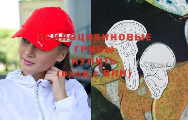 СК Абинск
