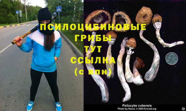 МДПВ Абаза