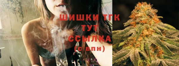сатива Абдулино