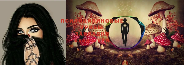 сатива Абдулино