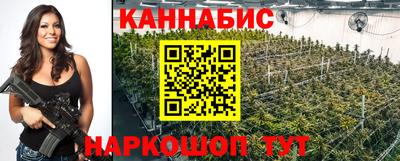 альфа пвп Новодвинск