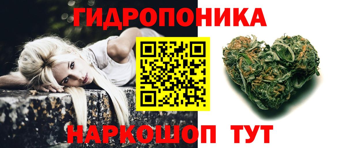 Шишки марихуана план Заринск